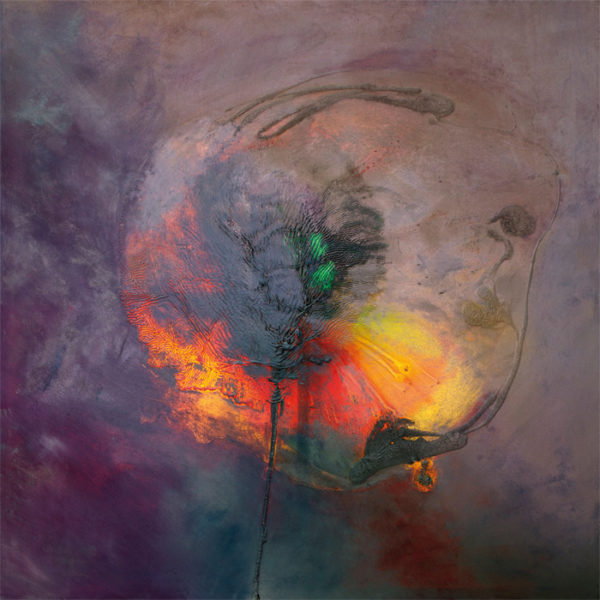 Laurel Holloman-The secret language of whales