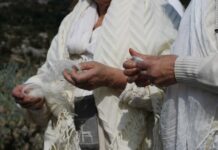 Omaggio per i 100 anni di Marija Gimbutas – Grazia Dentoni